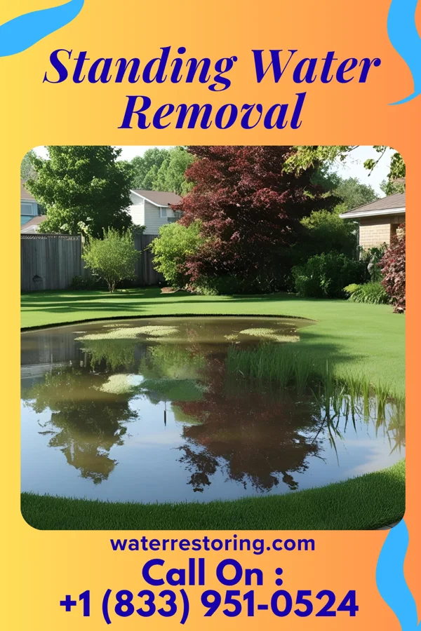 Standing Water Removal in Garber, IA